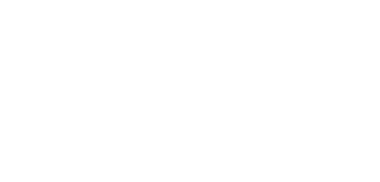 Elisa Sanchez Studio logo