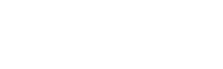 EZFile Tax & Audit Solutions logo