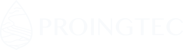 Proyectos Integrales Técnicos Civiles logo