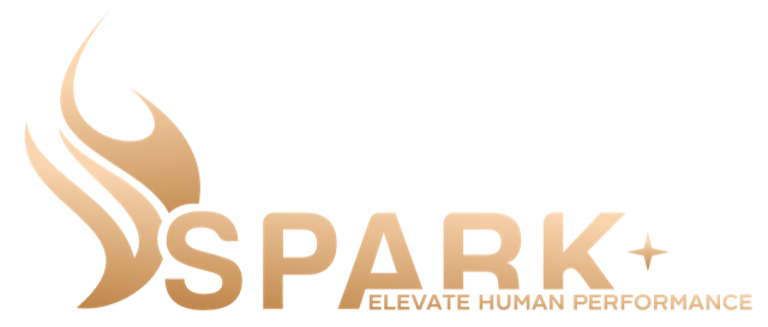 Spark Academy logo