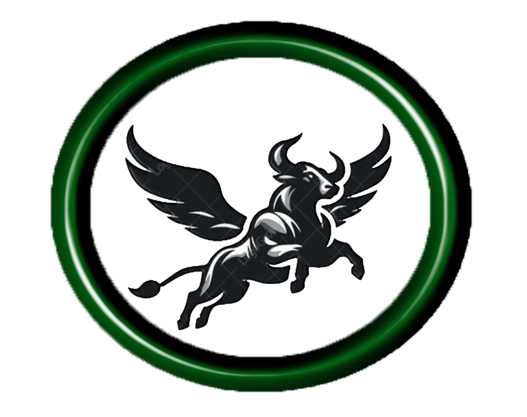 Tut Accounting Plus logo