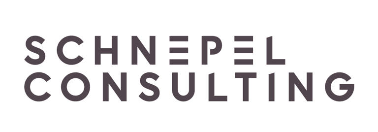 Schnepel Unternehmensberatung logo
