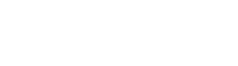 Ivonnet Vega logo