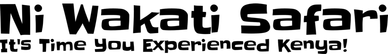 Ni Wakati Safari logo