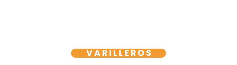 Bripur Varilleros - Reparación de Granizo y abolladuras logo