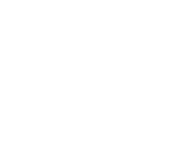 RocSana logo
