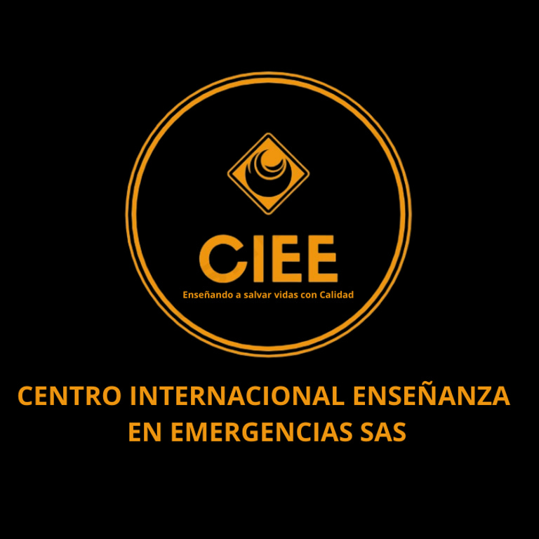 CENTRO INTERNACIONAL DE ENSEÑANZA EN EMERGENCIAS logo