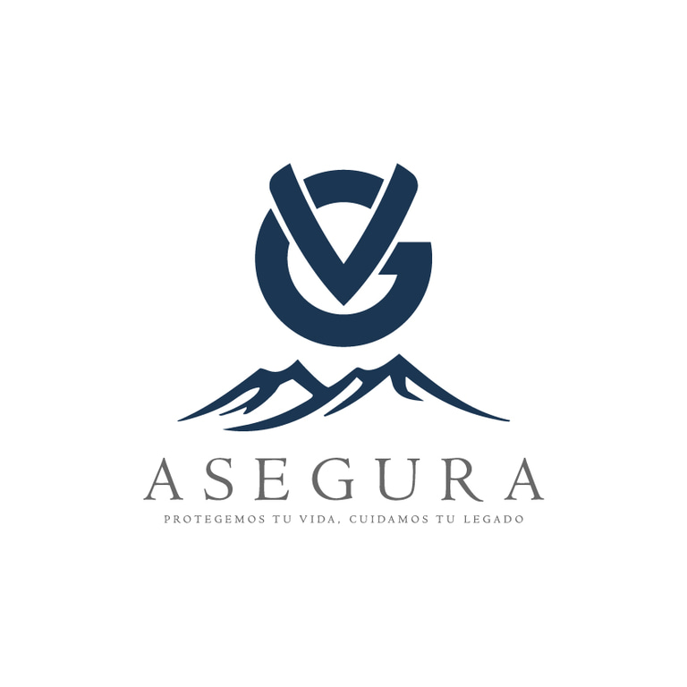VG ASEGURA logo