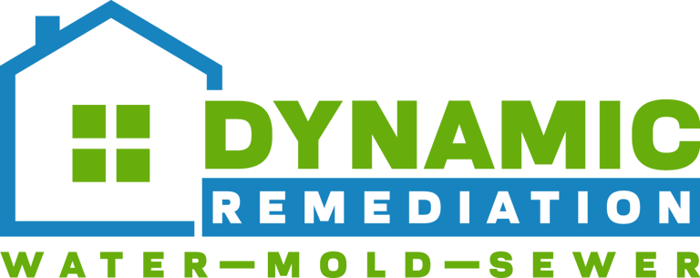 Dynamic Remediation logo