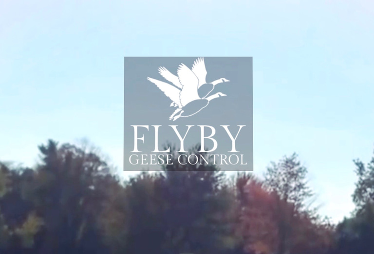 Flyby Geese Control logo