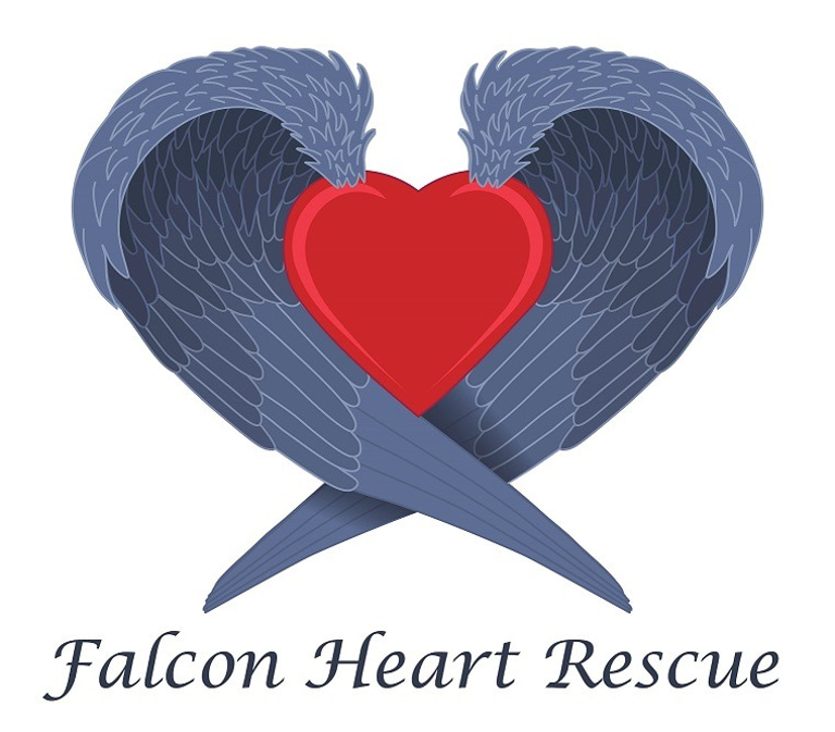 Falcon Heart Rescue logo