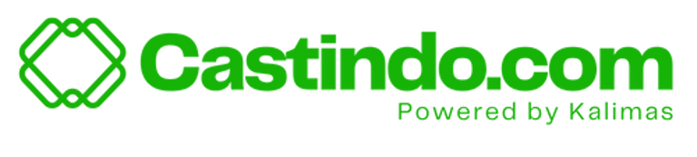 CASTINDO logo
