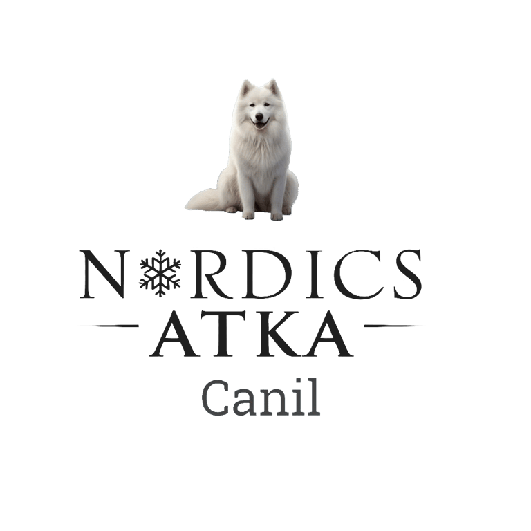 Canil Nordics Atka logo