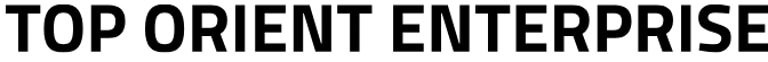 TOP ORIENT ENTERPRISE logo