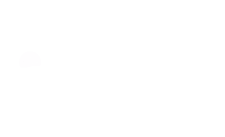 TrueLink World logo