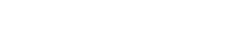SkyWay logo