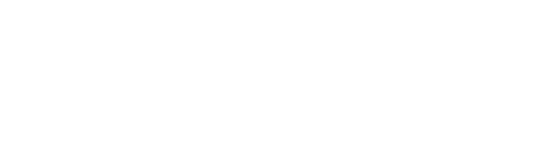 9Point logo