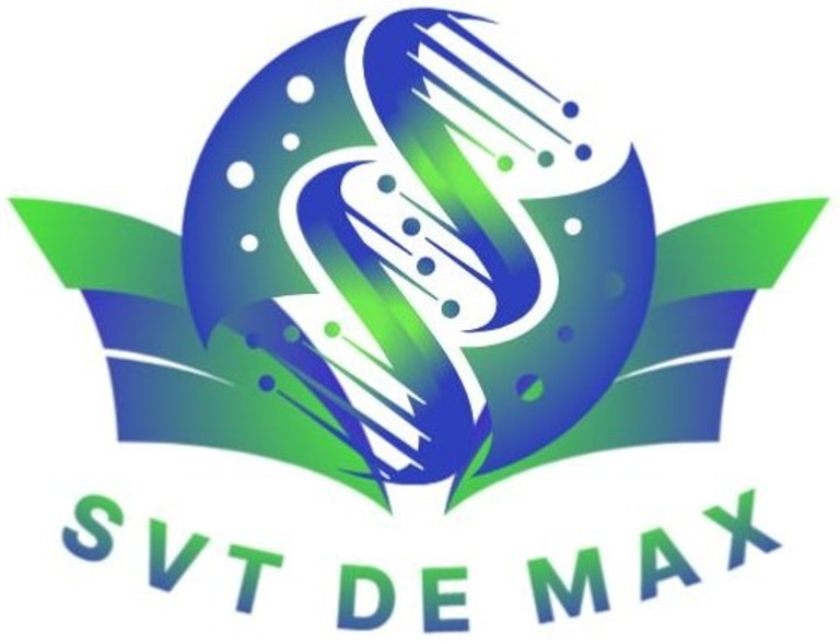 SVT de Max logo