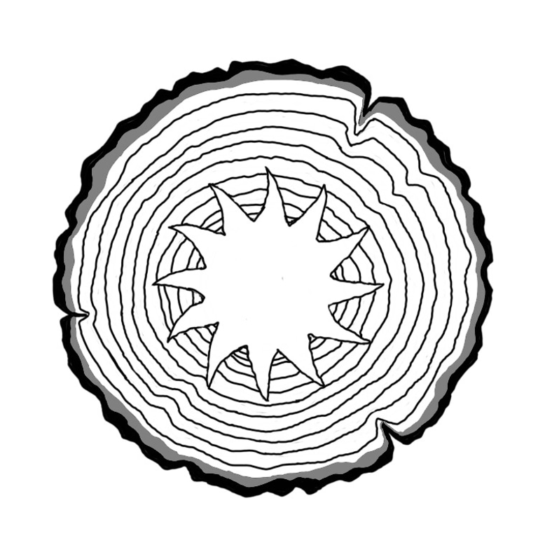 Schreinerei Sonnen logo