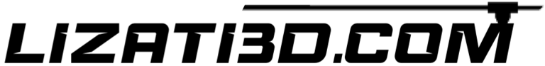 Lizati3D logo
