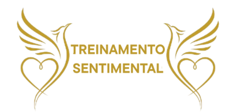 Treinamento Sentimental logo