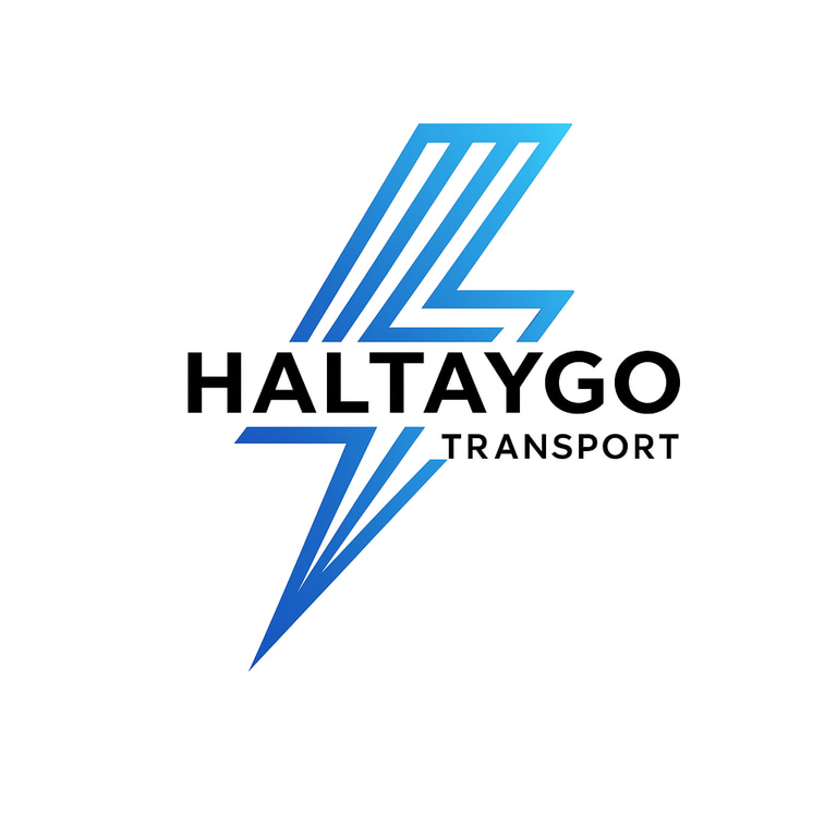 HALTAYGO TRANSPORT logo