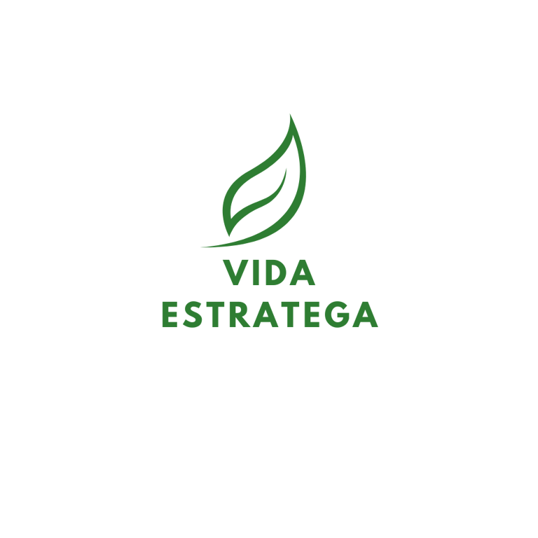 Vida Estratega logo