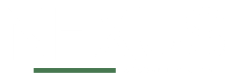 Nexus Global Insights logo
