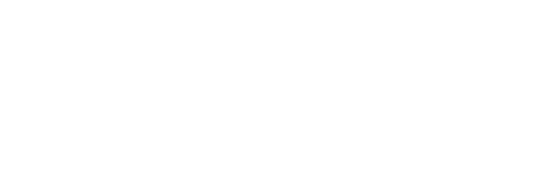Ciudadanos Azules Internacional logo