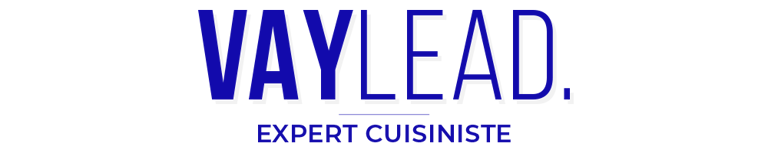 Vaylead logo