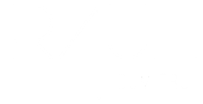 Raul Dumitru logo