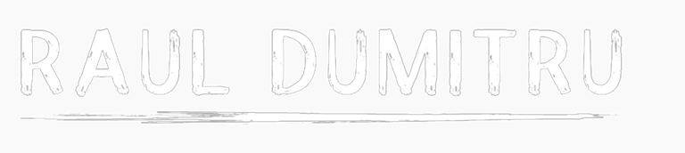 Raul Dumitru logo