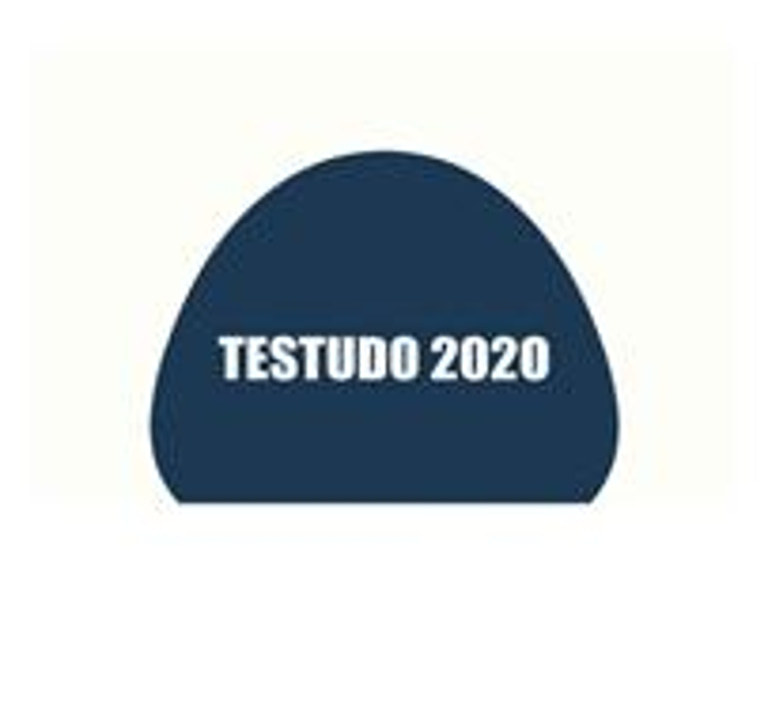TESTUDO 2020 logo