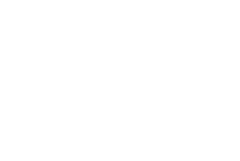 Red Phoenix EA logo