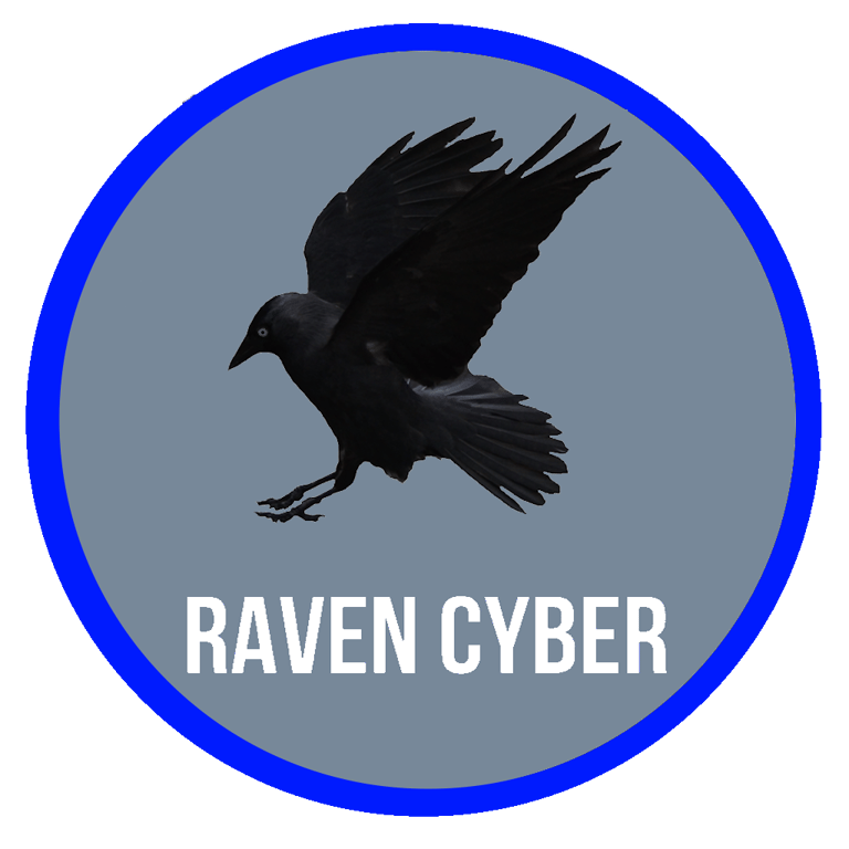 Raven Cyber Solutions logo