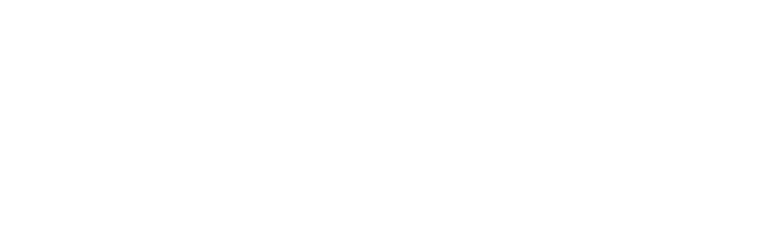 ProFinish Auto Detail logo