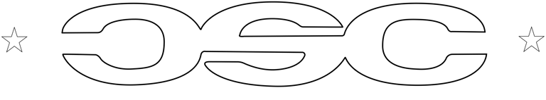 CITY SOLDIERZ CORP ® logo