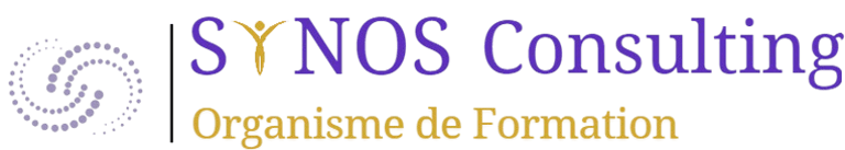 SYNOS Consulting logo