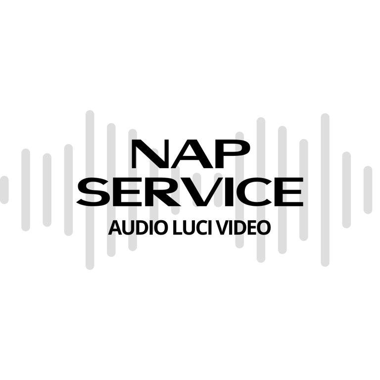 Nap Service logo