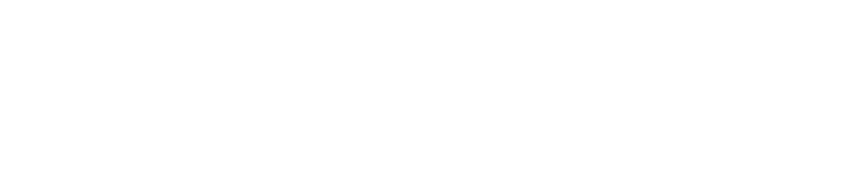 Mental Drive Inc. logo