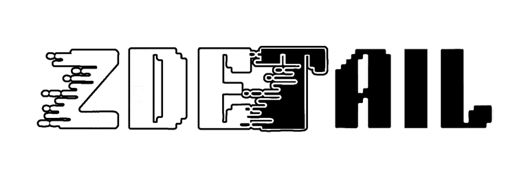 ZDETAIL MOBILE DETAILING SERVICE logo