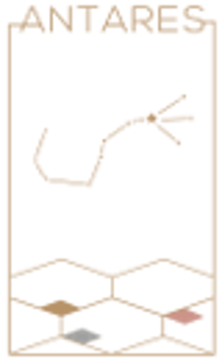 Antares Commodity Investments logo