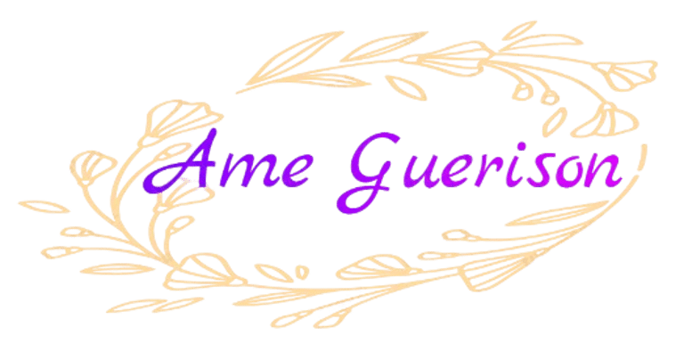 Ameguerison logo