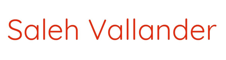 Saleh Vallander logo