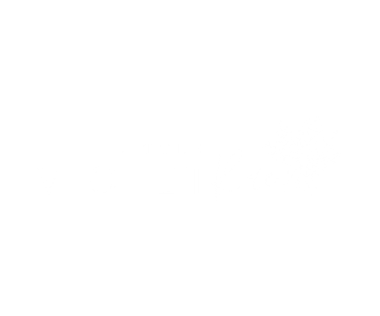 Little Violet Rae Crystals logo