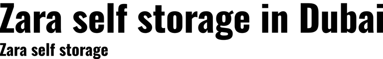 Zara self storage in Dubai logo