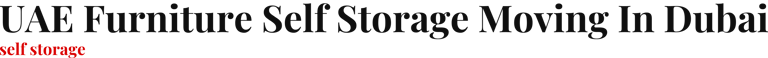 UAE Furniture Self Storage Moving In Dubai logo