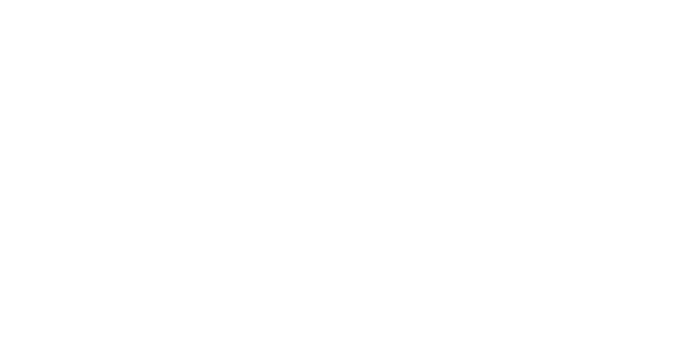 Vinicius Imports logo
