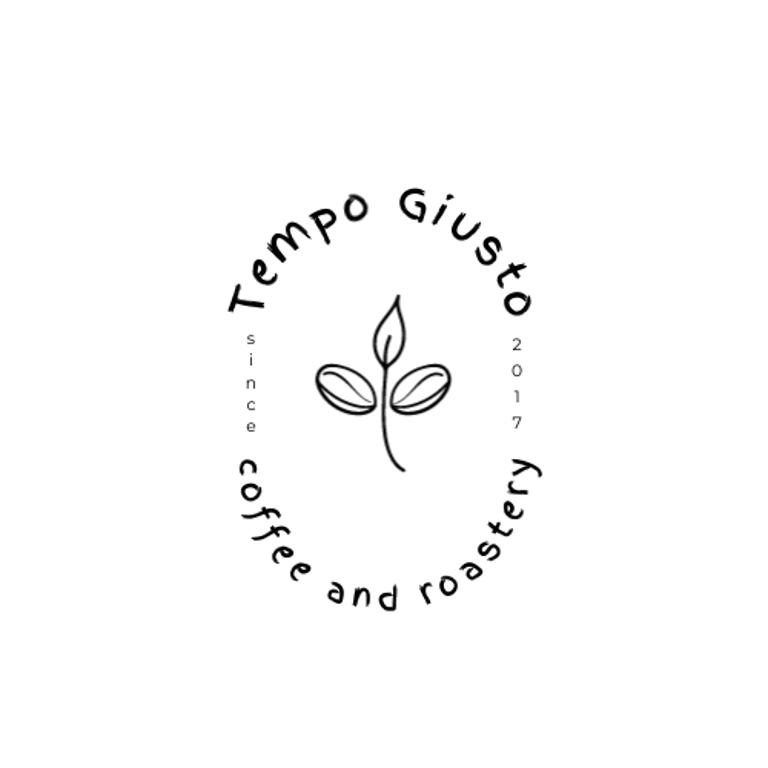 Tempo Giusto Solutions logo