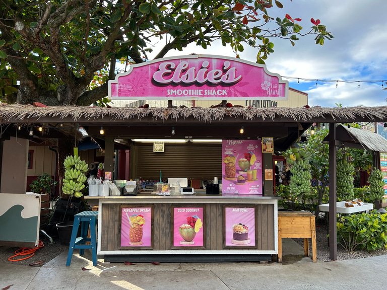 Elsies Smoothie Shack logo